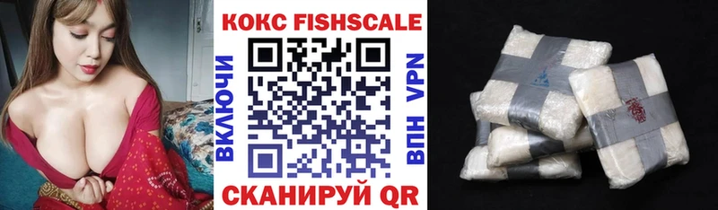 Cocaine FishScale  blacksprut сайт  Мензелинск  купить наркотики цена 