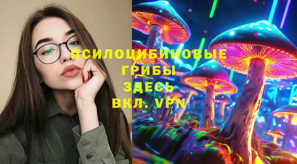 индика Алексин