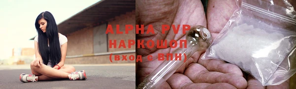 индика Алексин