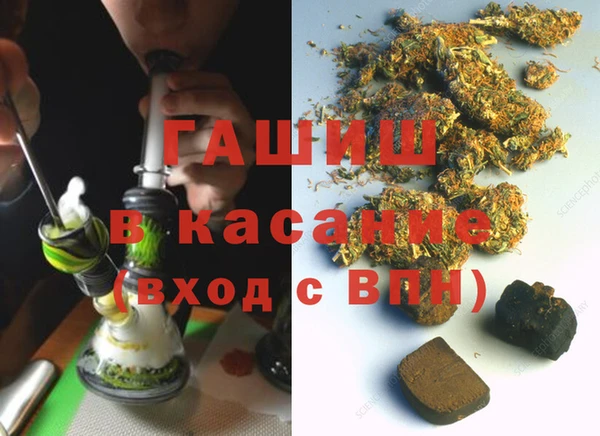 индика Алексин