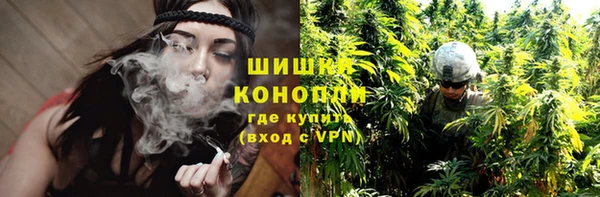 индика Алексин