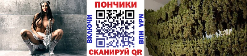 Конопля White Widow  Мензелинск 